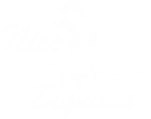 NICE_BIQUINIS